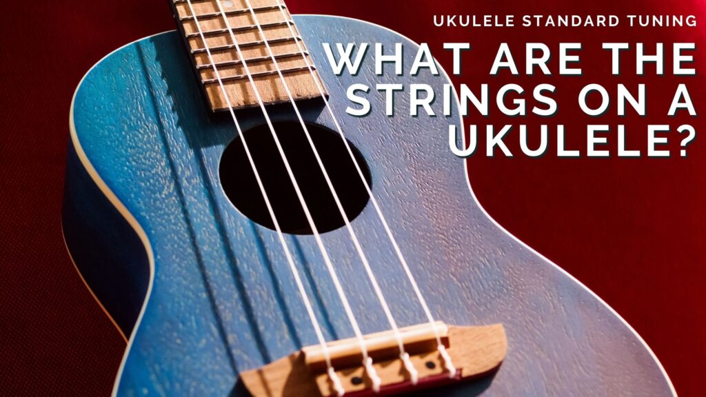 What Are the Strings on a Ukulele? An Easy Guide to 4 String Ukulele Standard Tuning