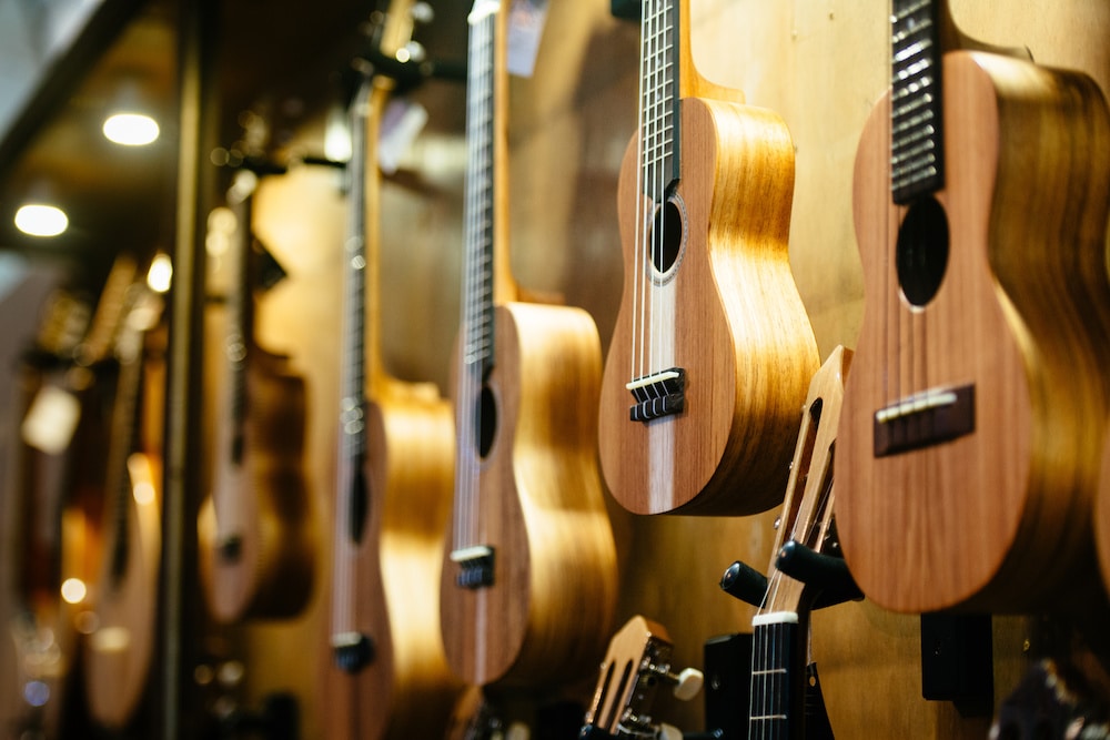learn how much does a ukulele cost